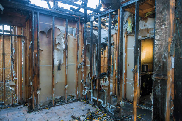 Professional Soot Cleanup technician working in Holt, AL